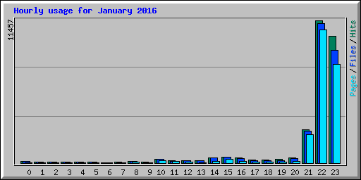 Hourly usage for January 2016