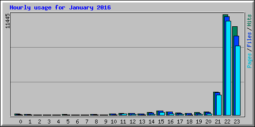 Hourly usage for January 2016