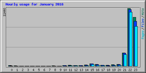 Hourly usage for January 2016