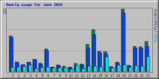 Hourly usage for June 2016