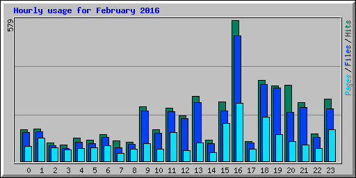 Hourly usage for February 2016