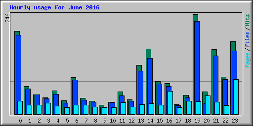 Hourly usage for June 2016