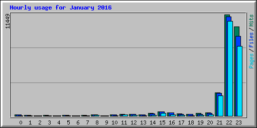 Hourly usage for January 2016